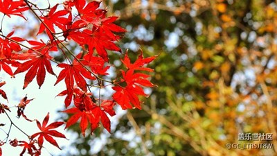 南京栖霞山秋景，秋意正浓，景色宜人