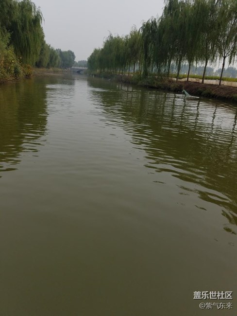 瞎拍的
