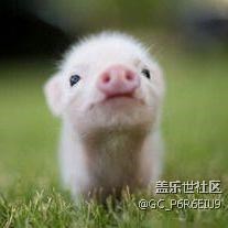 s7 的作品是多么唯美啊