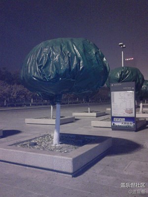 冬帽