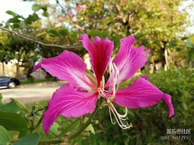 阳光明媚的冬天