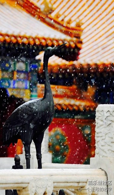 香中别有韵 清极不知寒 紫禁城初雪
