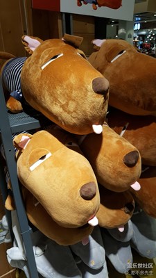 在繁华中寻得那一份宁静