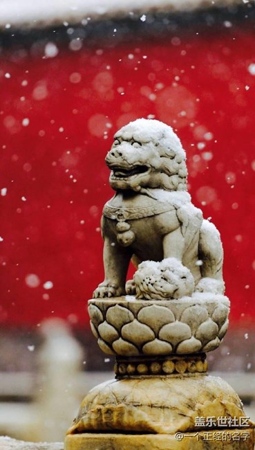 香中别有韵 清极不知寒 紫禁城初雪