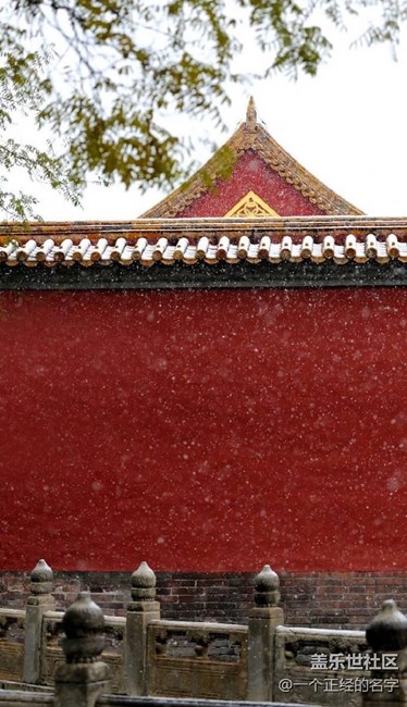 香中别有韵 清极不知寒 紫禁城初雪