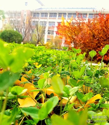 随手瞎拍☆学校