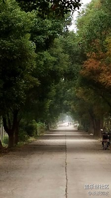 美丽的乡村小路