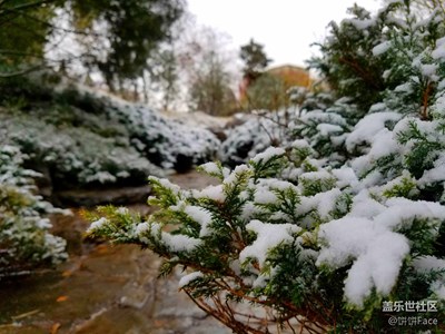 北京初雪现外拍差点没冻死~团结湖公园的雪景美cry！~