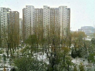 北国风光，千里雪飘