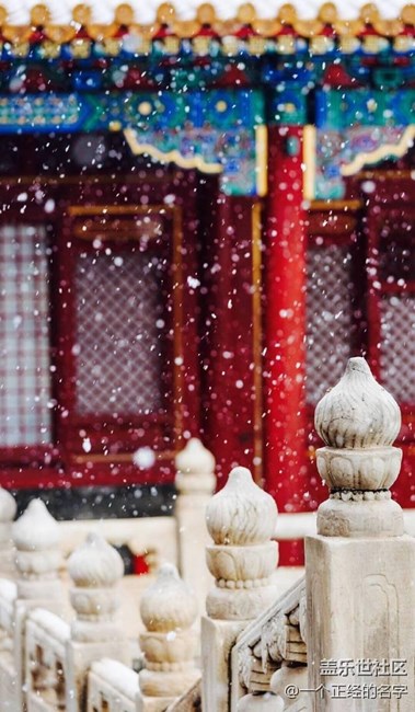 香中别有韵 清极不知寒 紫禁城初雪