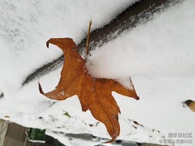 西安迎来了入冬的第一场雪
