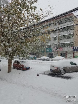 告诉你什么叫雪