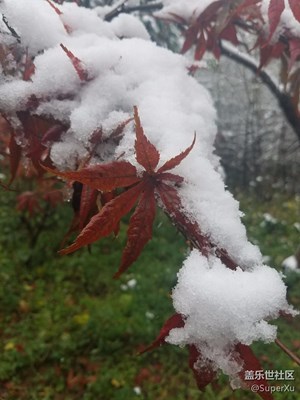 南京的第一场雪