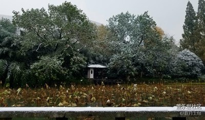 第一场雪的随拍