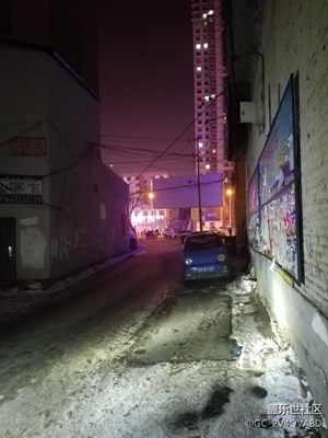 夜猫