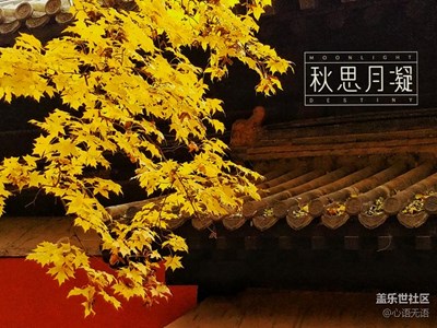 【霜叶红于二月花】+北京+秋风至，静看片片枫叶情