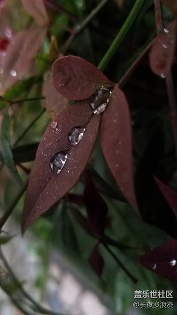 在公司随手拍