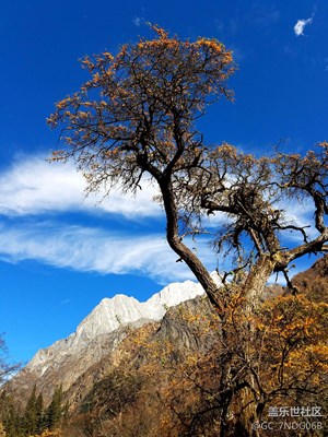 美丽的四姑娘山
