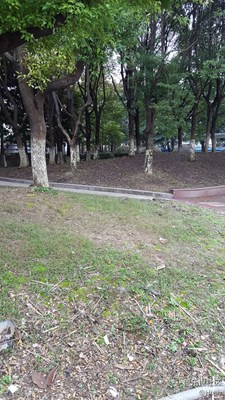 签