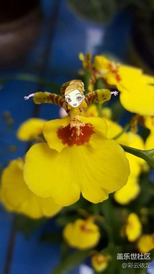 像美丽的少女，翩翩起舞，，，