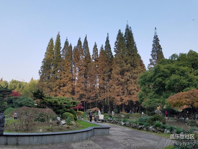 今天在中山公园拍一些照片，还想看看7.0对相机优化