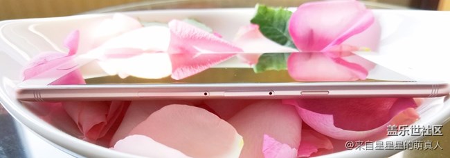蔷薇粉 C9 Pro---红粉赐璎珞，落花亦有情