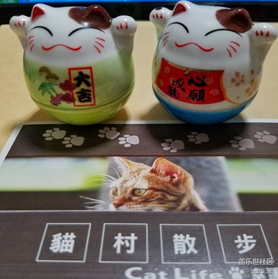 【成长日记】+那些的猫，那些的喵