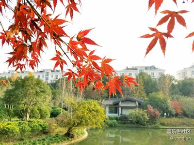 南江公园