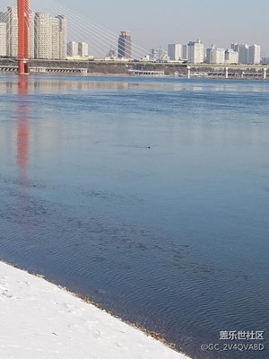 风景