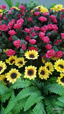假花儿