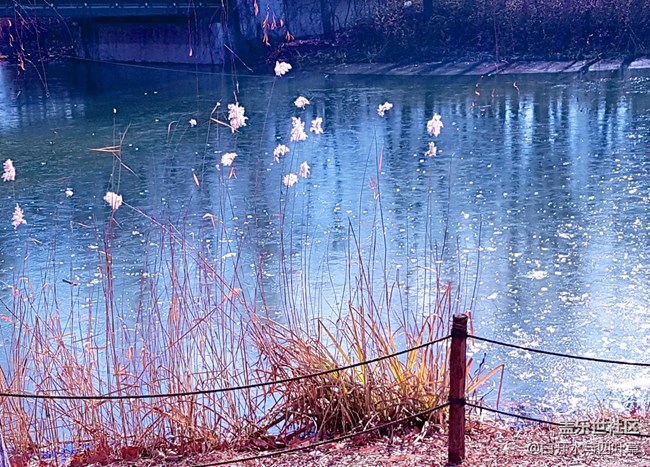 每周精帖汇【第35期: 】 每周精帖汇【第35期: 】