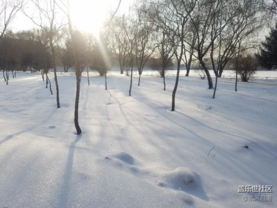 雪后