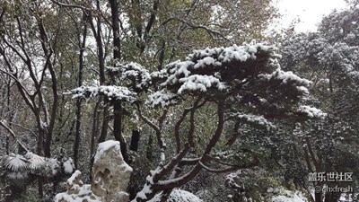 雪景