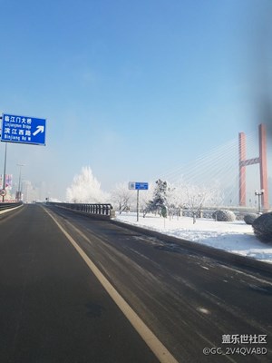 雾松