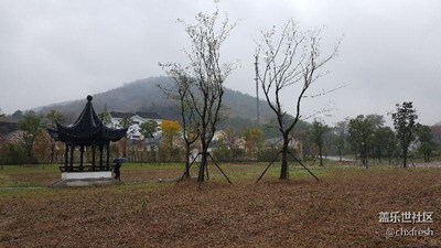 烟雨朦胧不老村