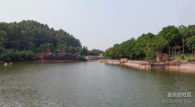 今天