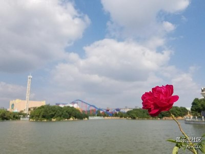 吃喝玩乐