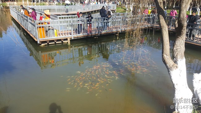 新年第一贴