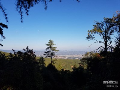 山野