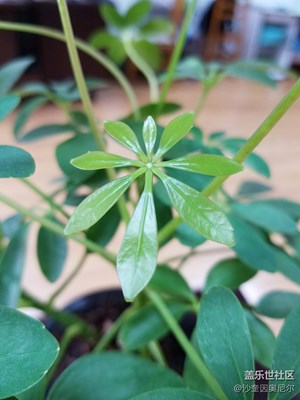 【冬天的颜色】+镇江+工作室的颜色