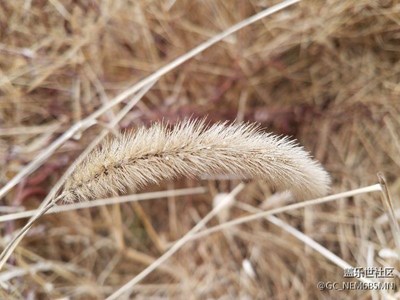 不小心手机号又申请了一个账号