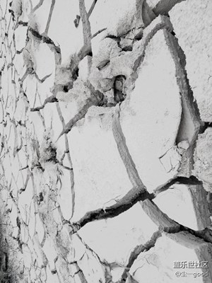 喜欢黑白照的进来看看