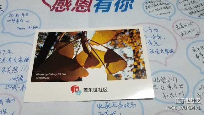 感恩节明信片到了，谢谢