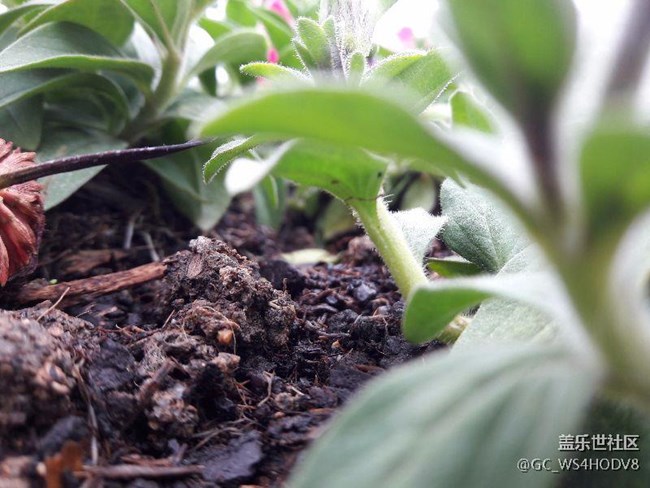 A7108升级安卓6.0