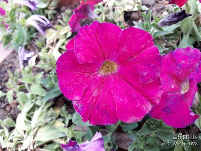 A7108升级安卓6.0