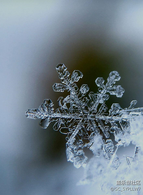 s6edge+何日升级安卓7.0啊