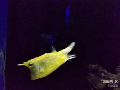 【家乡美】+大连+大海边