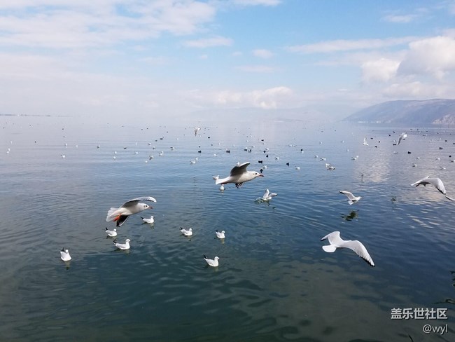 大理景色