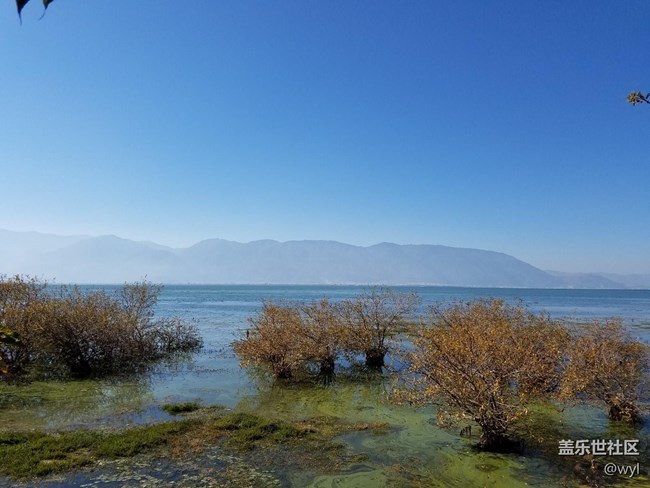 大理景色