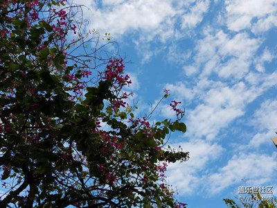 晴空万里